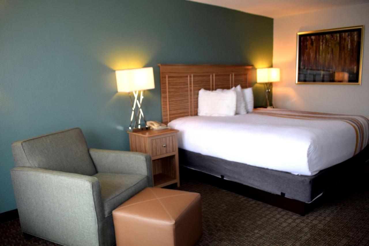 Inn Chestnut Tree - Cherokee