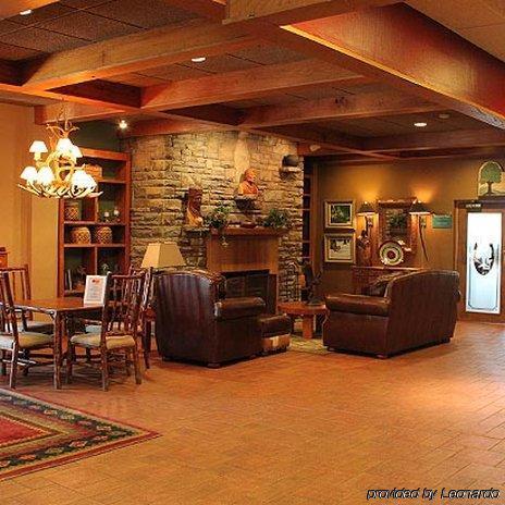 Chestnut Tree - Inn 2*